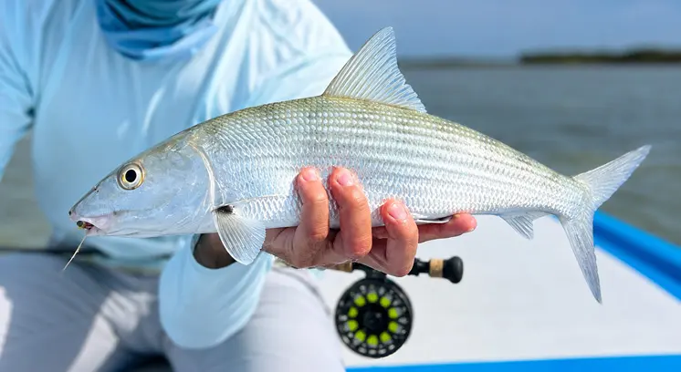 Bonefishing in Cozumel - Yucatan Fly Fishing
