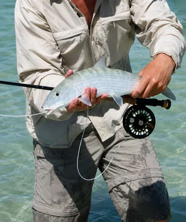 Ascension Bay Fishing for Bonefish