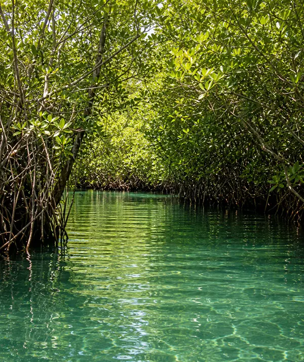 Cancun Lagoon Fishing - Laguna Nichupte
