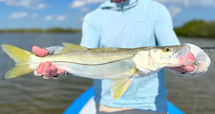 Bonefishing in Cozumel - Yucatan Fly Fishing