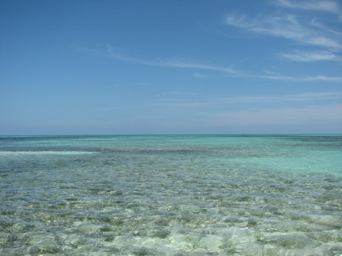 Ascension Bay Fly Fishing