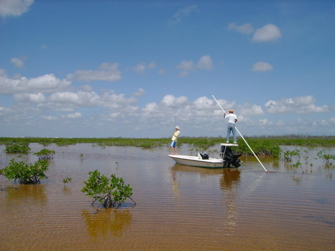 Cancun Fly Fishing