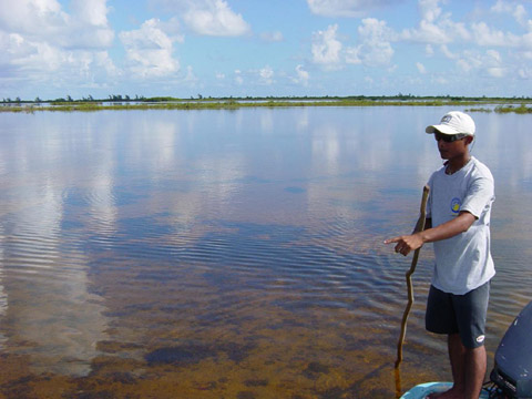 Cancun Fly Fishing
