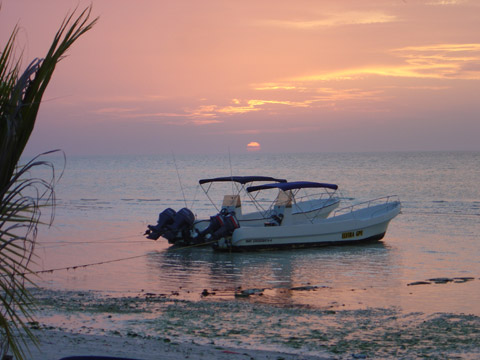 Cancun Fly Fishing