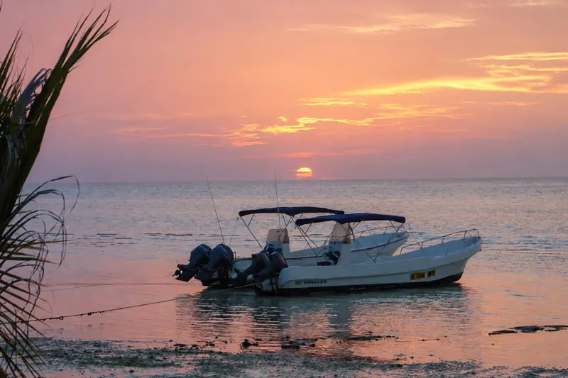Cancun Fly Fishing