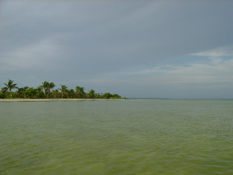 Isla Blanca Yucatan Fly Fishing