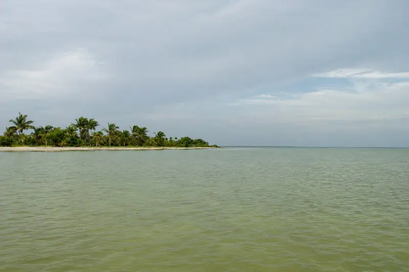 Isla Blanca Yucatan Fly Fishing