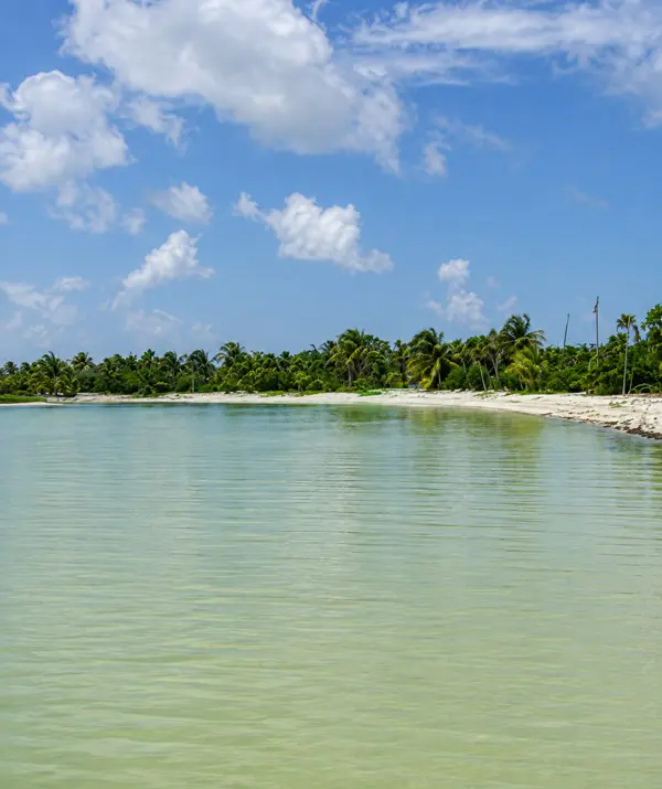 Isla Blanca Fly Fishing